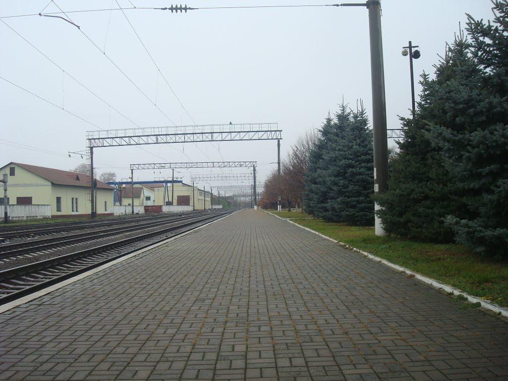 Підволочиськ з panoramio.com - Подволочиск