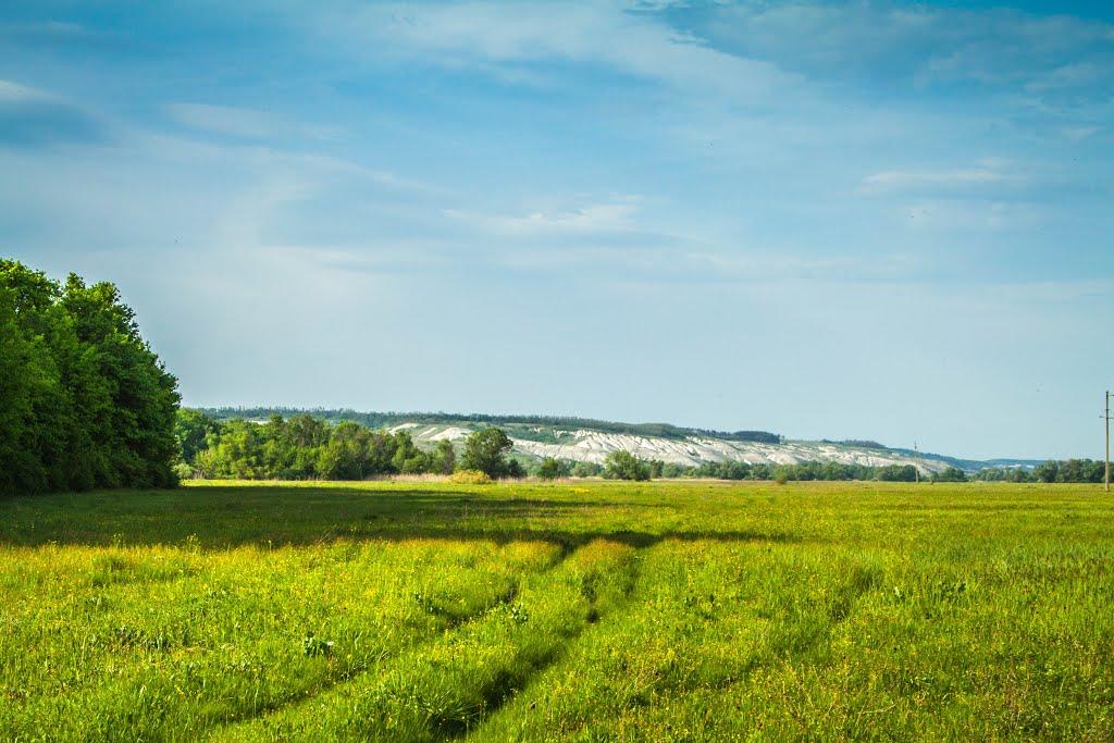 Дворічне з panoramio.com - Дворічне