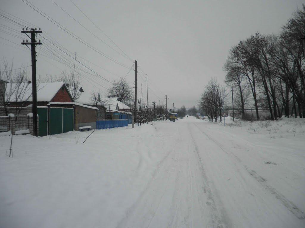 Довжик з panoramio.com - Довжик