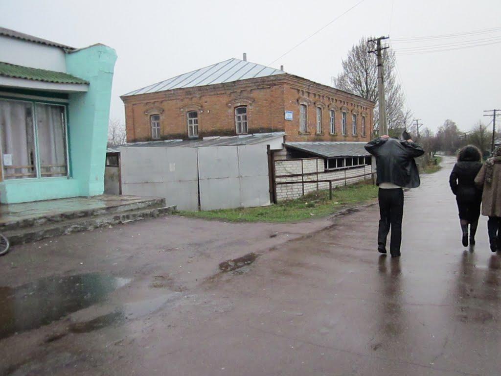 Нові Млини з panoramio.com - Новые Млины