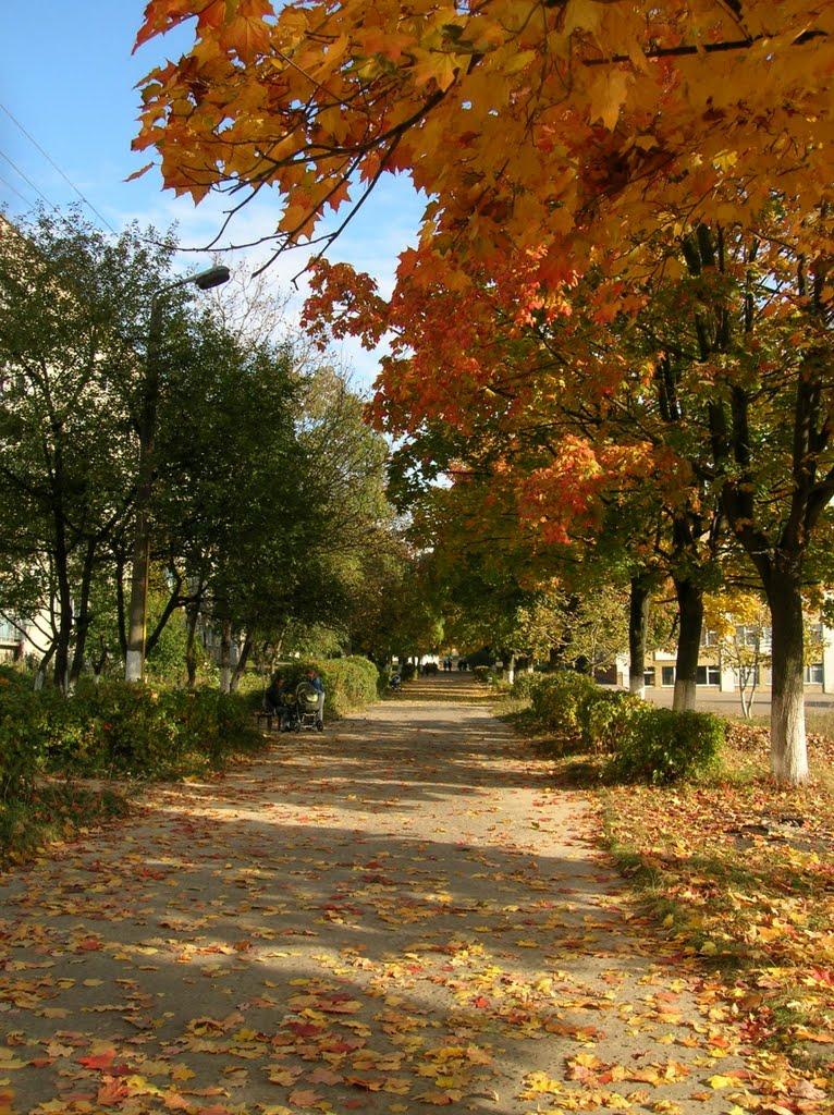 Сокаль з panoramio.com - Сокаль