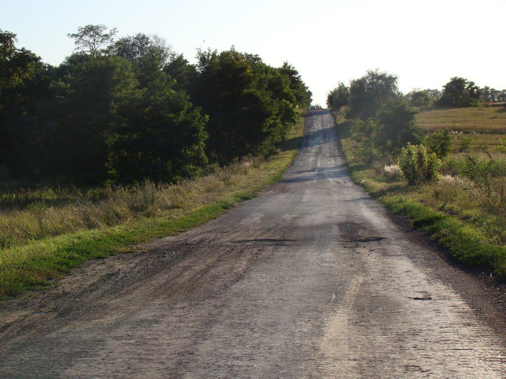 Довжик з panoramio.com - Довжик