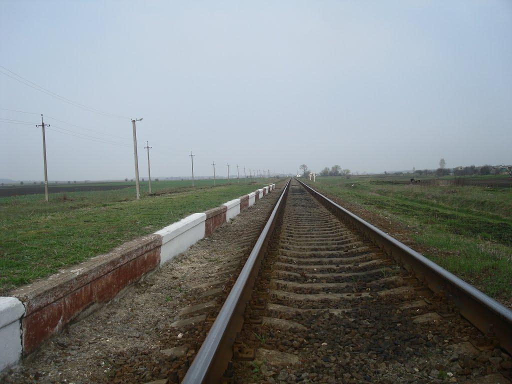 Великий Чернятин з panoramio.com - Великий Чернятин