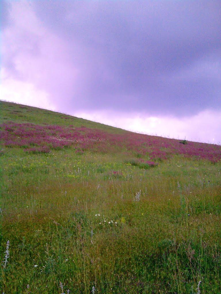 Передове з panoramio.com - Передове