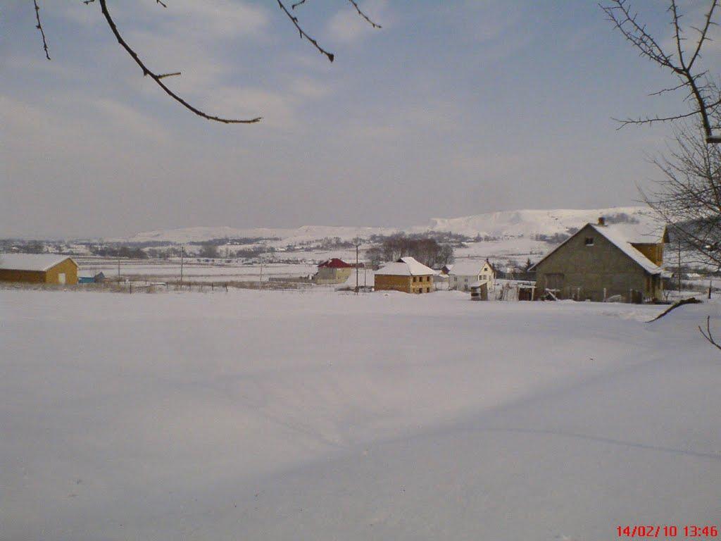 Могилівка з panoramio.com - Могилевка