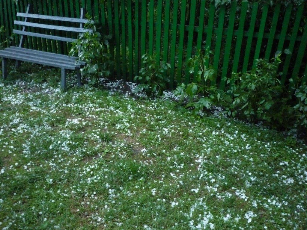 Білівці з panoramio.com - Білівці