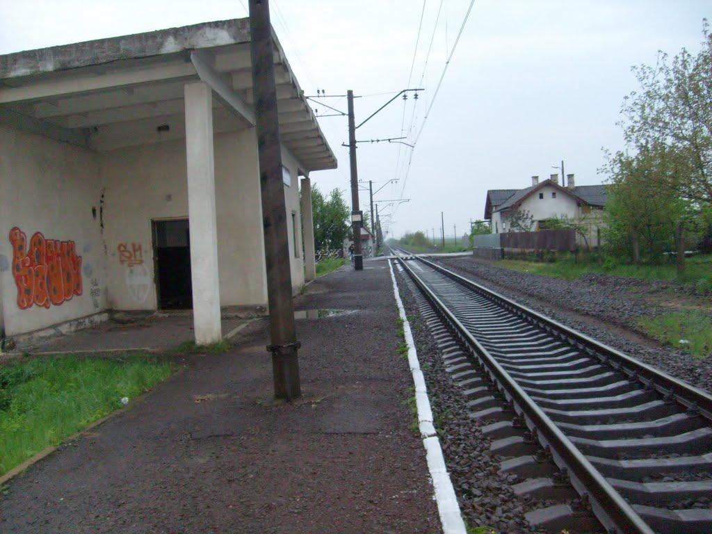 Холмок з panoramio.com - Холмок