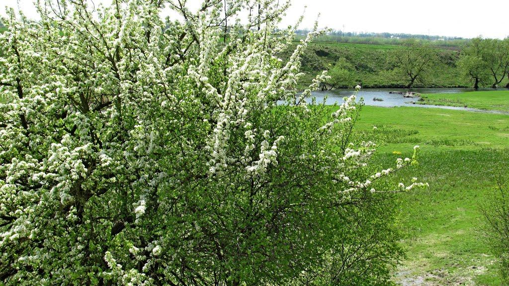 Зозів з panoramio.com - Зозів