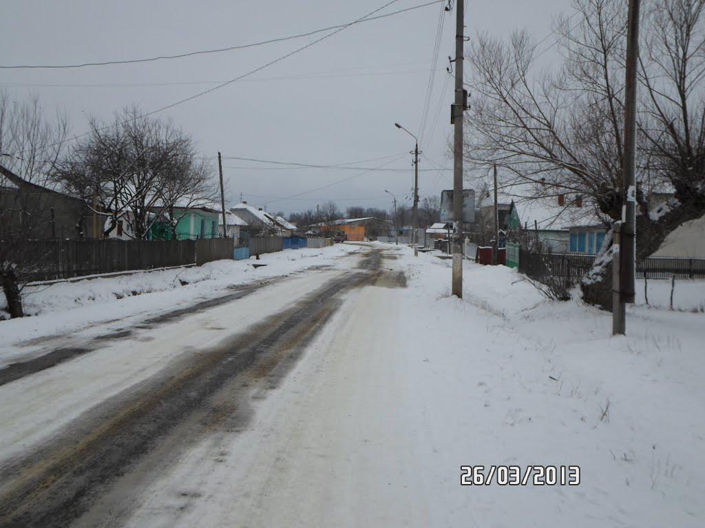 Могилівка з panoramio.com - Могилевка
