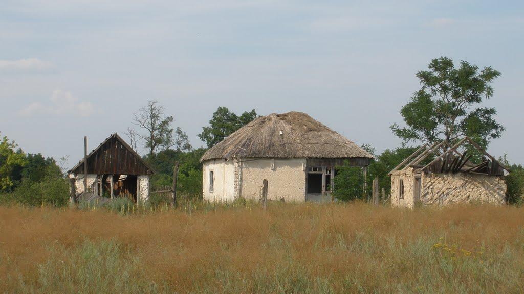 Масютівка з panoramio.com - Масютівка