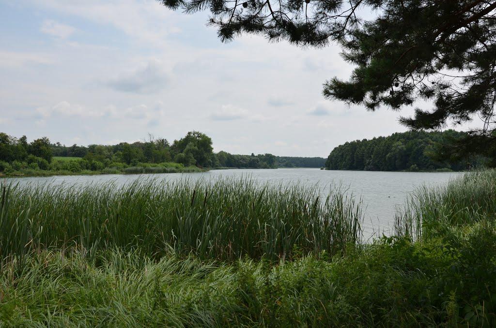 Неморож з panoramio.com - Неморож