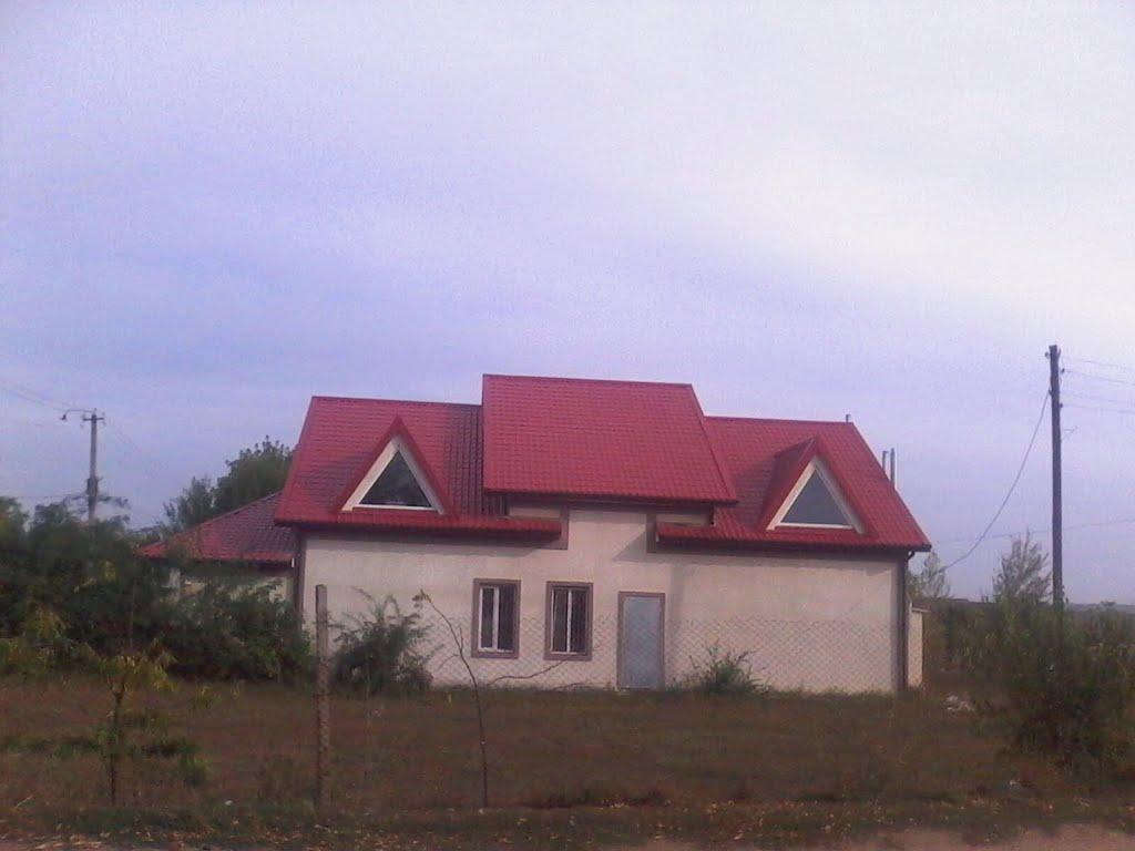 Новотимофіївка з panoramio.com - Новотимофіївка