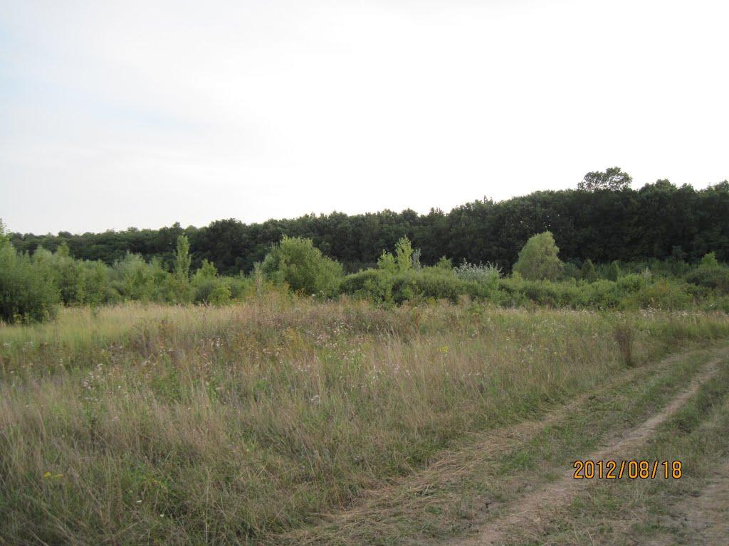 Мале Попово з panoramio.com - Малое Поповое