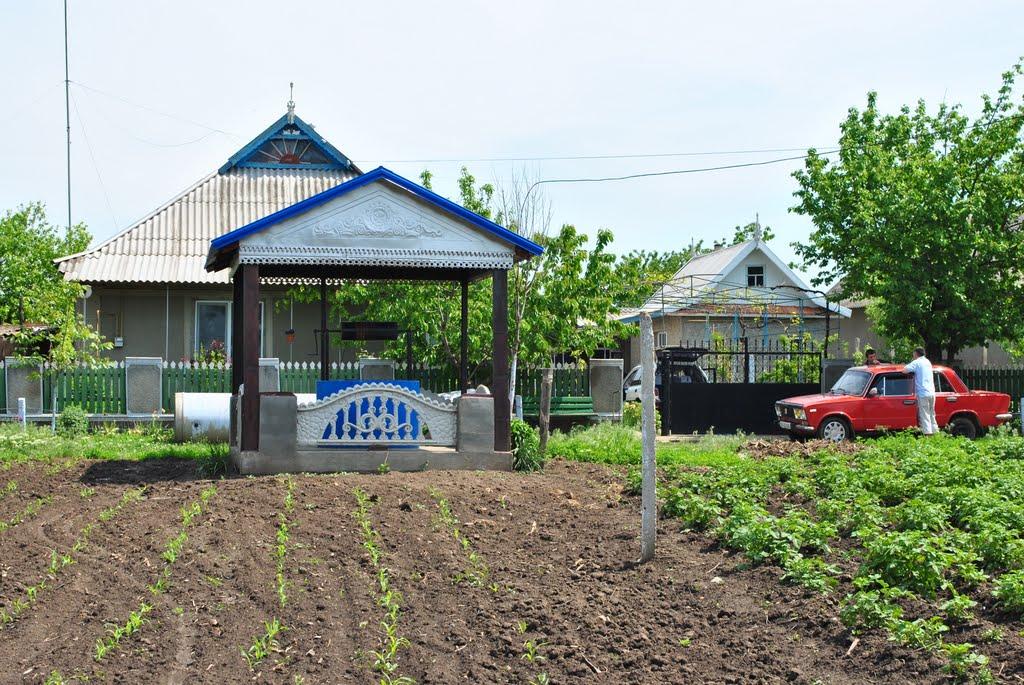 Чистоводне з panoramio.com - Чистоводное