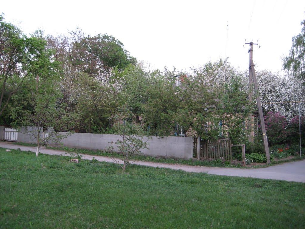 Срібне з panoramio.com - Сребное