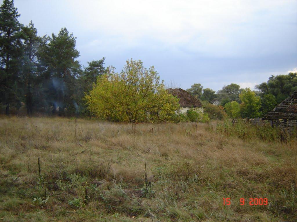 Масютівка з panoramio.com - Масютівка