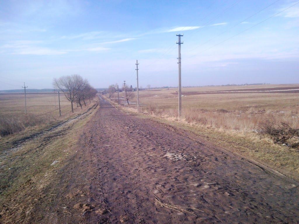 Рогізне з panoramio.com - Рогозное