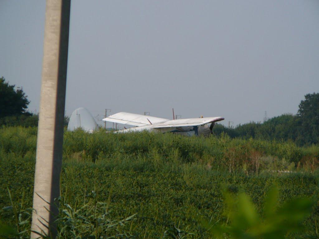 Зелені Кошари з panoramio.com - Зелені Кошари