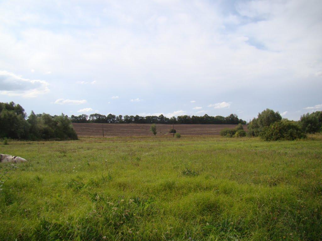 Довжик з panoramio.com - Довжик