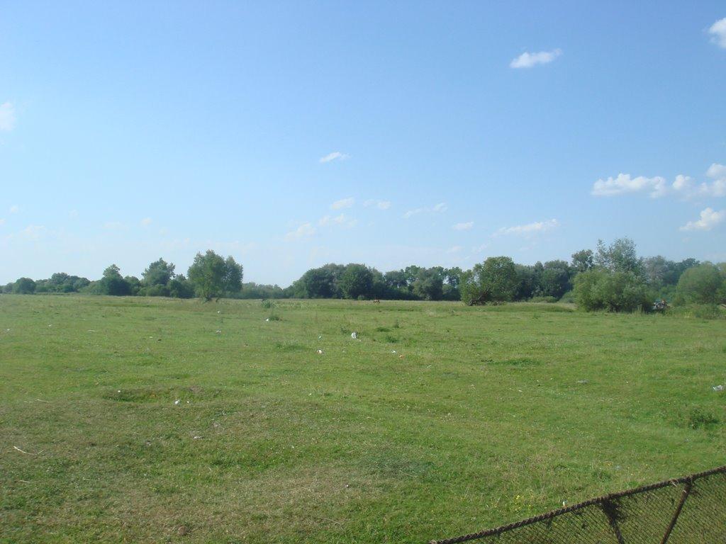 Куликовичі з panoramio.com - Куликовичі