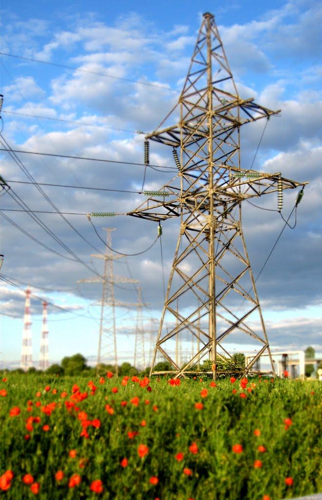 Виноградний Сад з panoramio.com