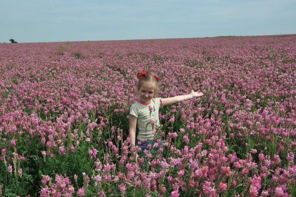 Причепівка з panoramio.com - Причепівка