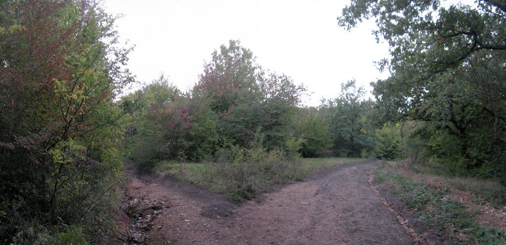 Перевальне з panoramio.com - Перевальное