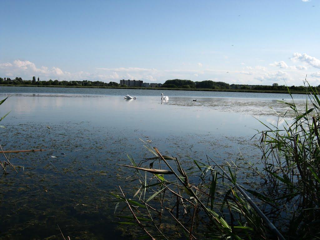 Здолбунів з panoramio.com - Здолбунов