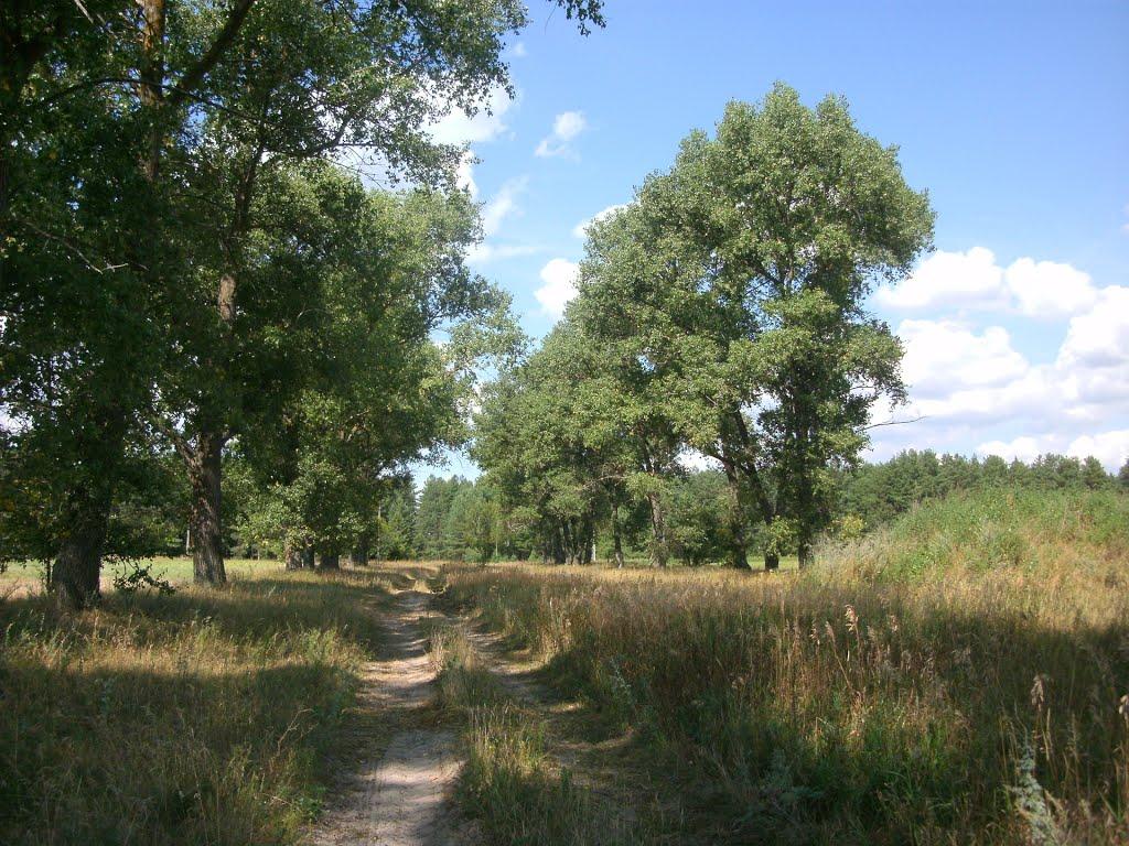 Лемешівка з panoramio.com - Лемешівка