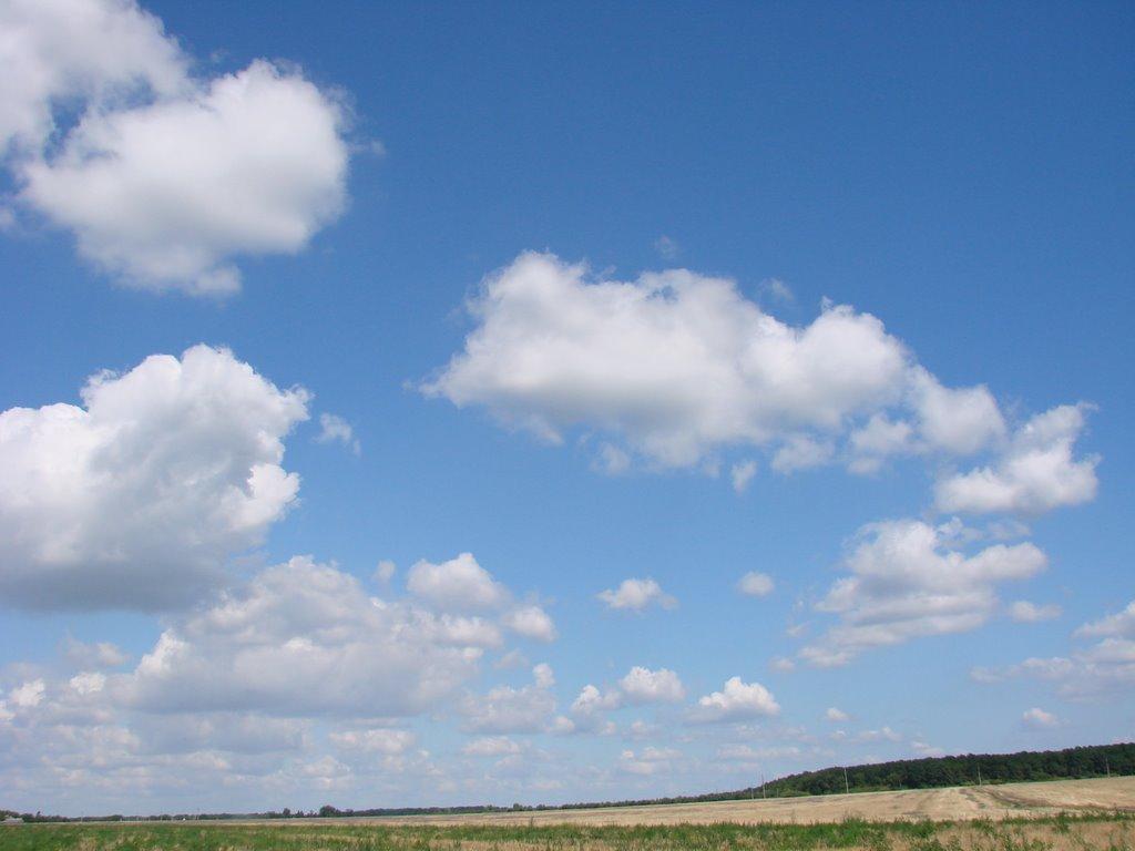 Підлісне з panoramio.com - Підлісне