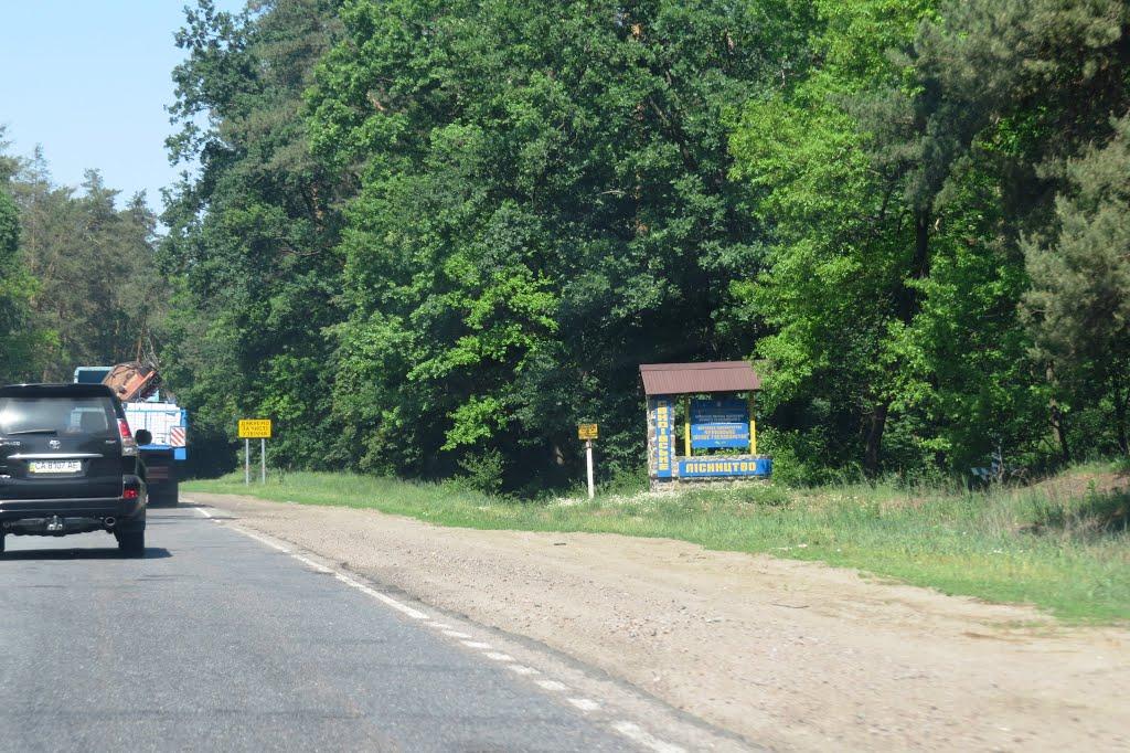 Свидівок з panoramio.com - Свидовок