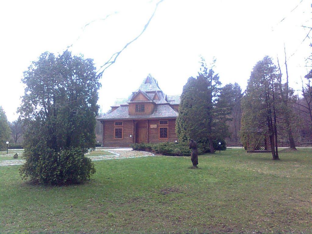 Товмачик з panoramio.com - Товмачик