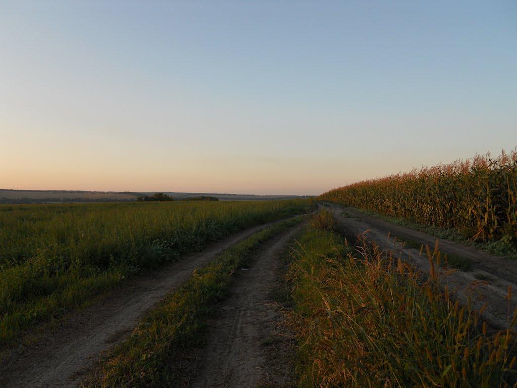 Хижня з panoramio.com - Хижня