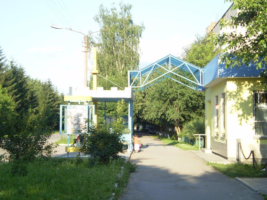 Пашківці з panoramio.com - Пашковцы