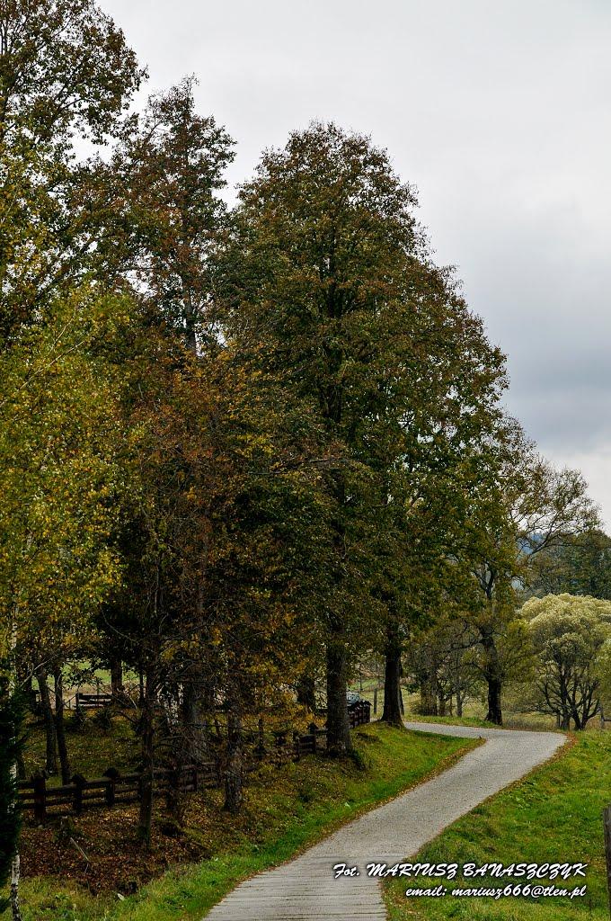 Боберка з panoramio.com - Боберка