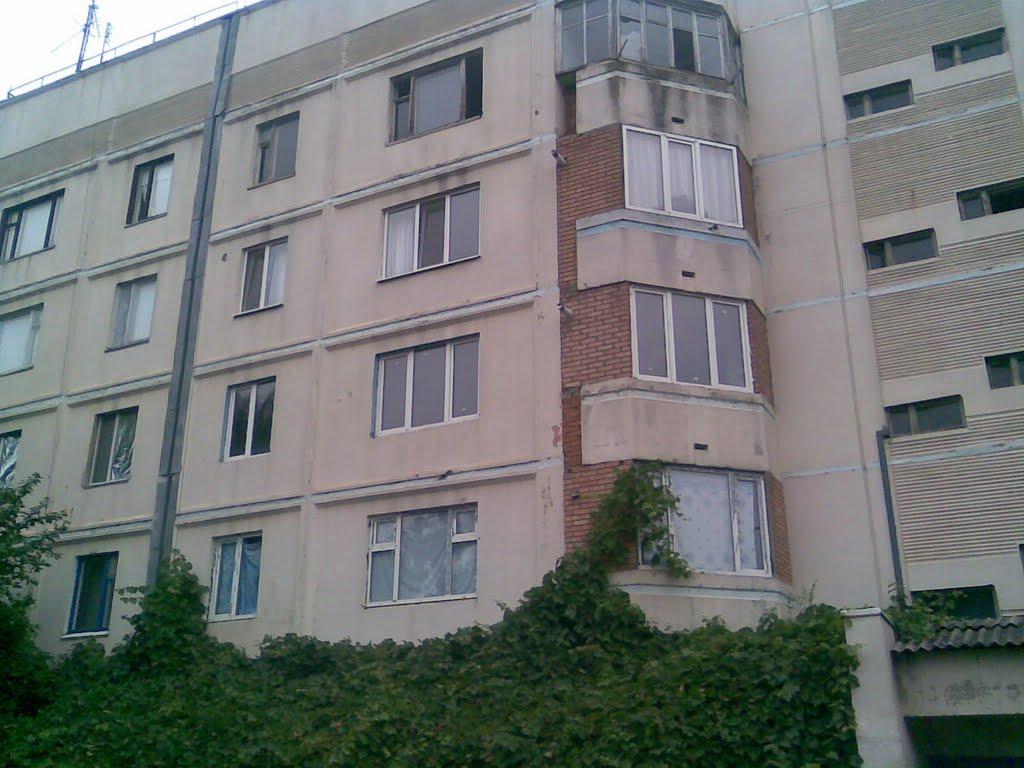 Калачівка з panoramio.com - Калачівка