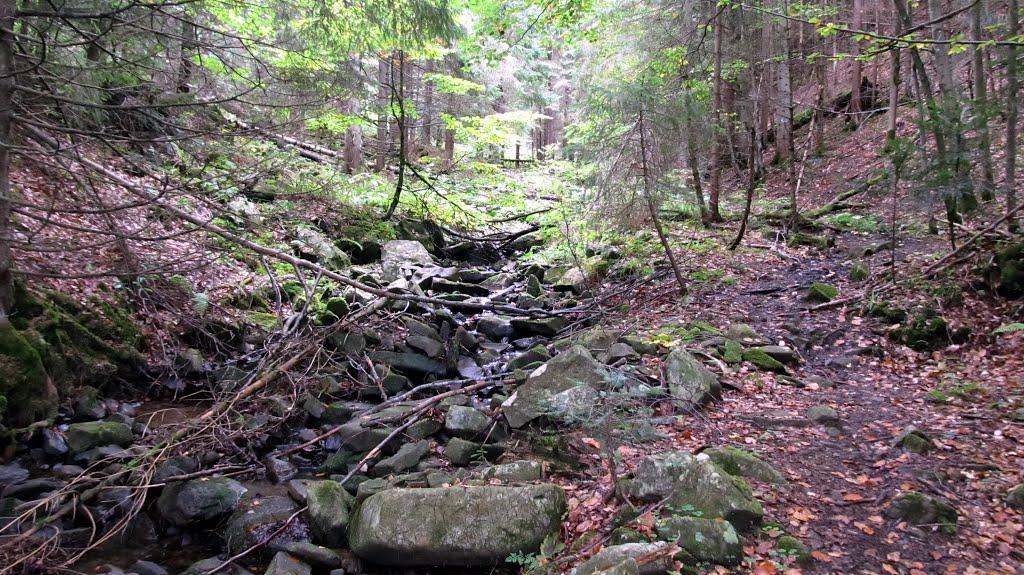 Мислівка з panoramio.com - Мислівка