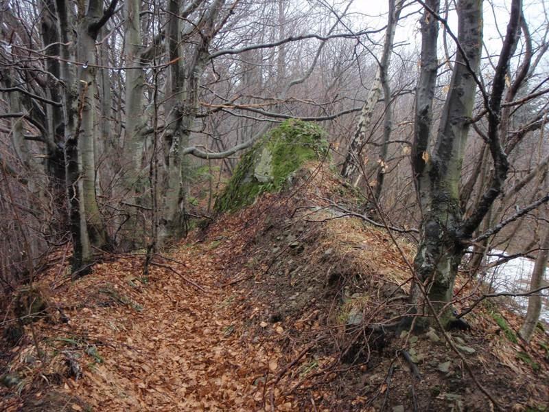 Вишка з panoramio.com - Вышка