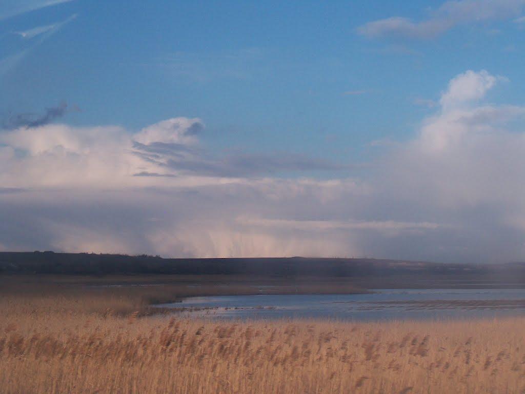 Бригадирівка з panoramio.com - Бригадирівка