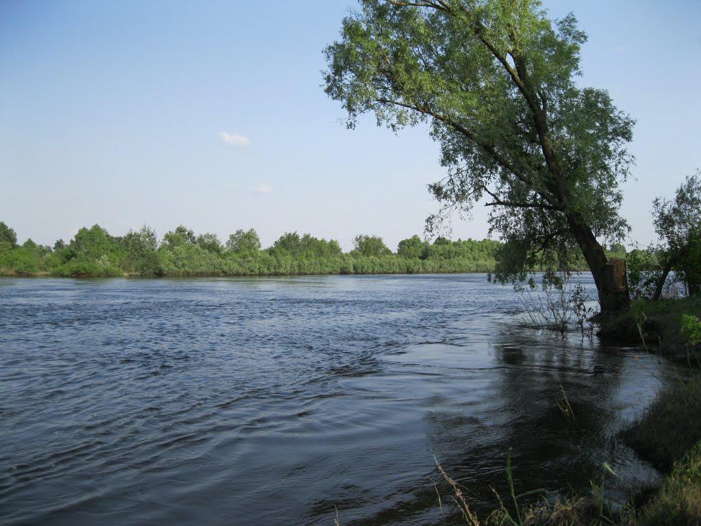 Ушня з panoramio.com - Ушня