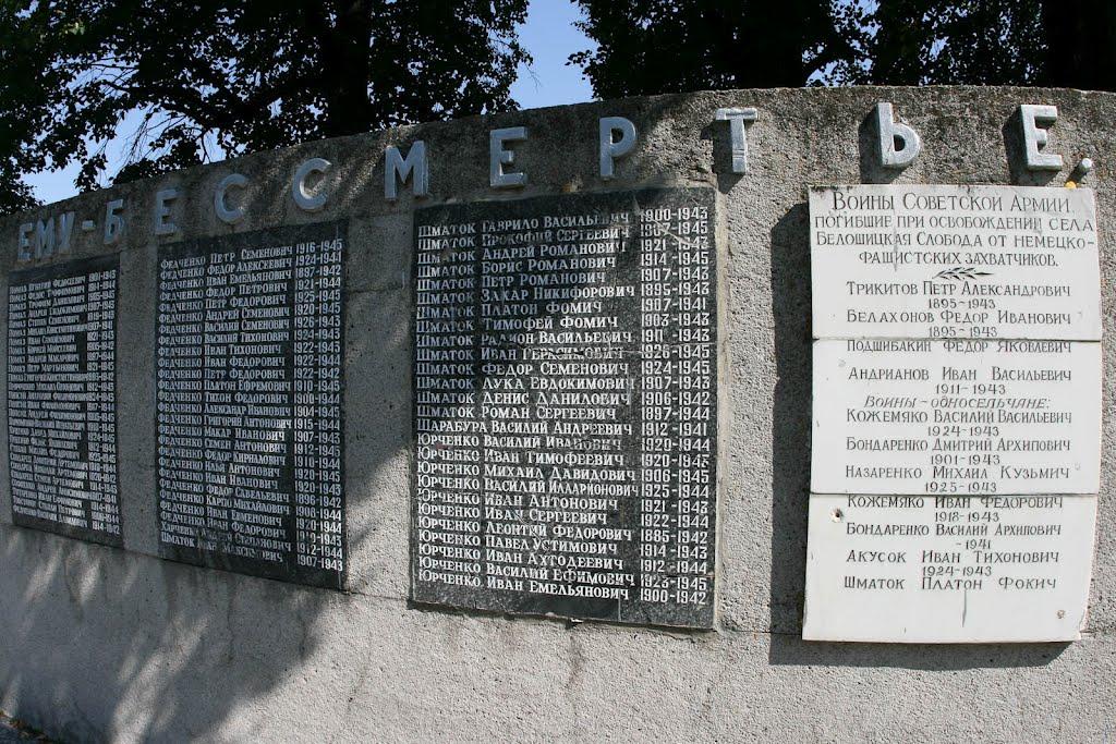 Більшицька Слобода з panoramio.com - Більшицька Слобода