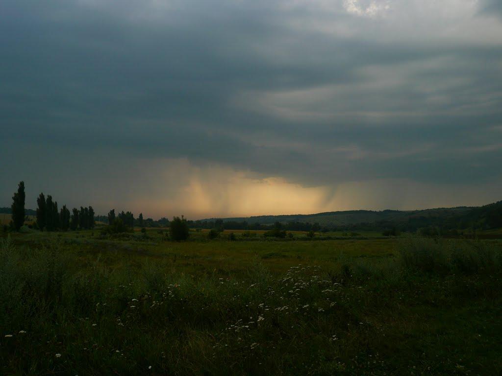 Пасат з panoramio.com - Пасат