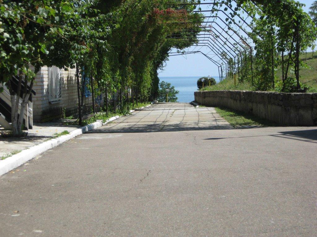Урзуф з panoramio.com - Урзуф