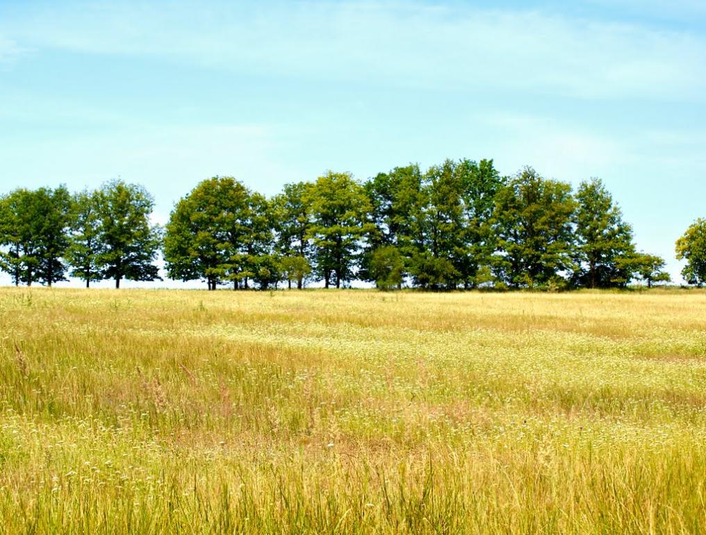 Шестакове з panoramio.com - Шестаково