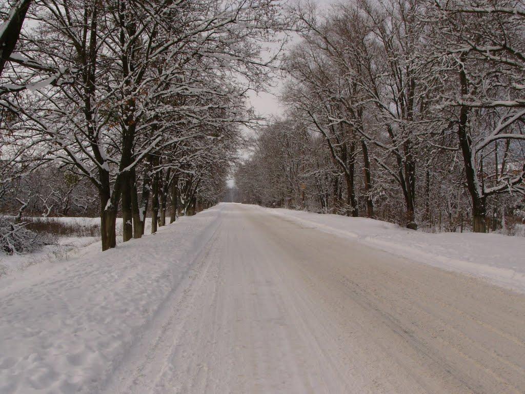 Чемужівка з panoramio.com - Чемужівка