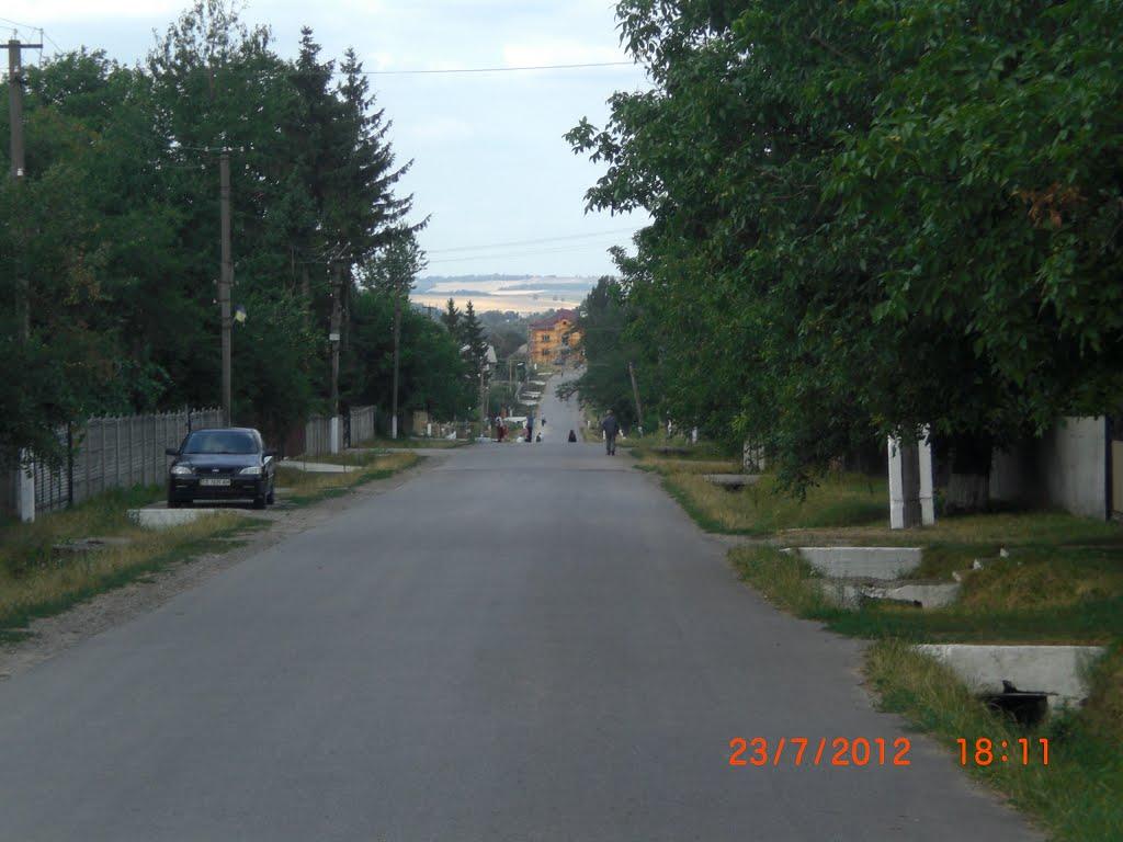 Молниця з panoramio.com - Molnytsya