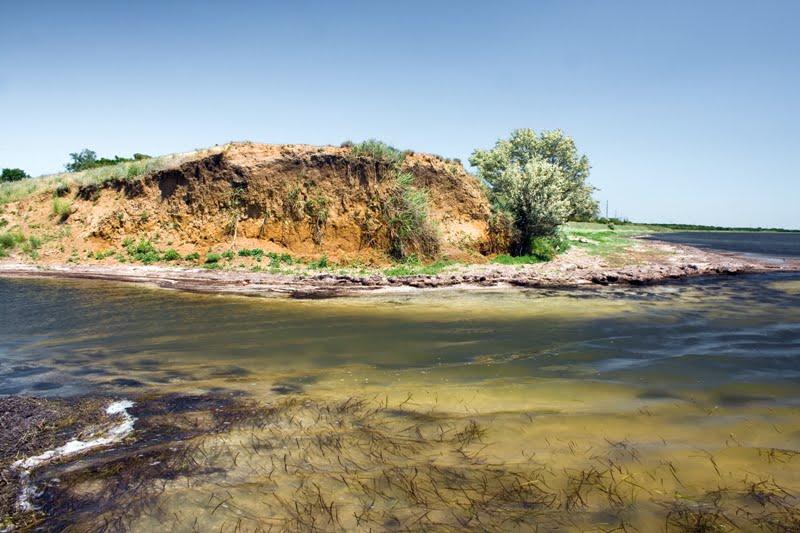 Скадовськ з panoramio.com - Скадовськ