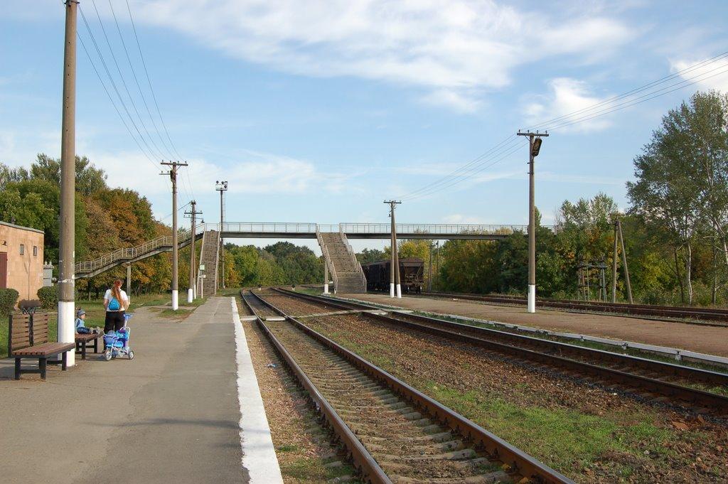 Карлівка з panoramio.com - Карлівка