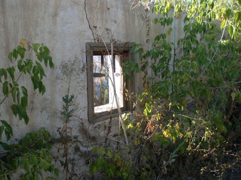 Синюхин Брід з panoramio.com - Синюхин Брід