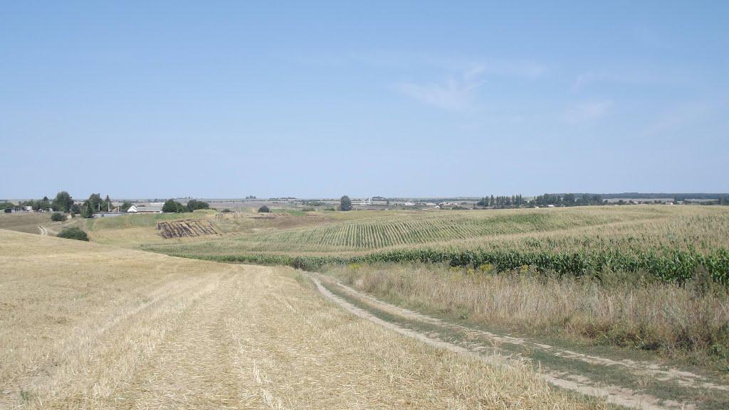 Квасовиця з panoramio.com - Квасовиця